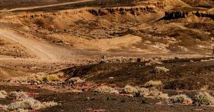 BRO官方通告：因成绩不理想 免去Edgar崔宇范教练的监督职务