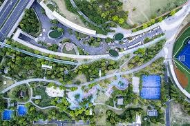 凌晨0点!马龙宣布重要计划，恭喜中国乒乓球，球迷这回可以安心了