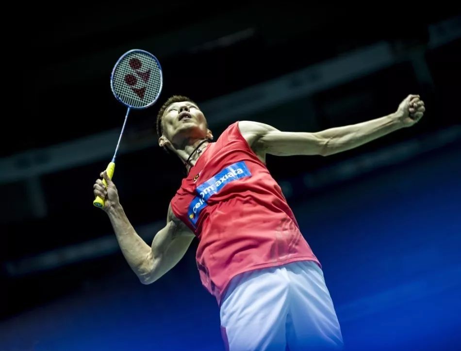 提供了宝贵 提供了宝贵