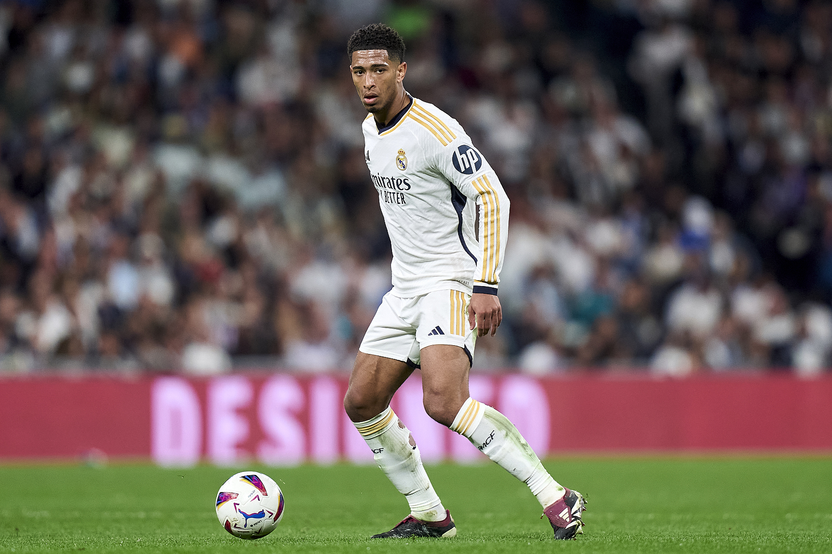 爱好者势必 爱好者势必